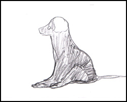 Potloodtekening van een zittende hond, van opzij getekend