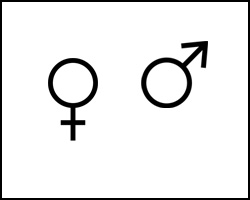 Het vrouwelijke symbool (cirkel met kruisje) en het mannelijke symbool (cirkel met pijl) naast elkaar
